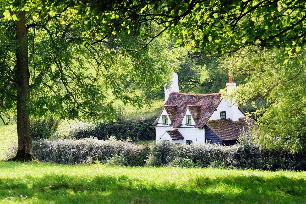 Best Plants for a Cottage Garden Aesthetic